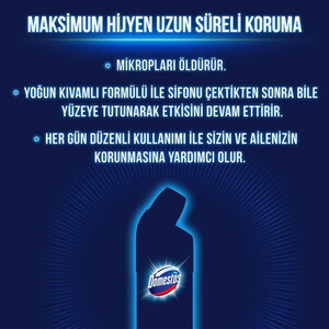  Domestos Çamaşır Suyu Dağ Esintisi 750 ML
